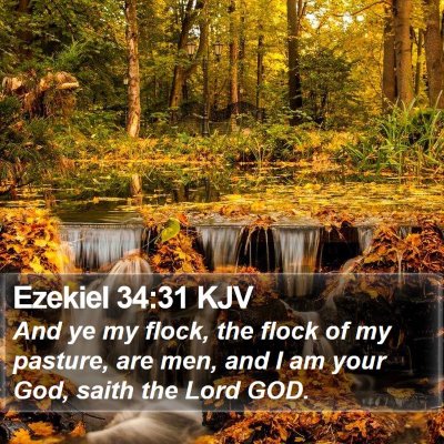 Ezekiel 34:31 KJV Bible Verse Image