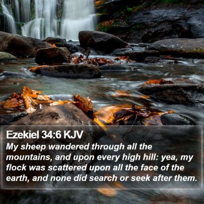 Ezekiel 34:6 KJV Bible Verse Image