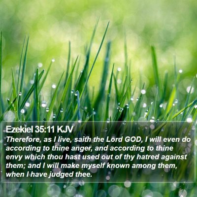 Ezekiel 35:11 KJV Bible Verse Image