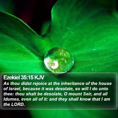 Ezekiel 35:15 KJV Bible Verse Image