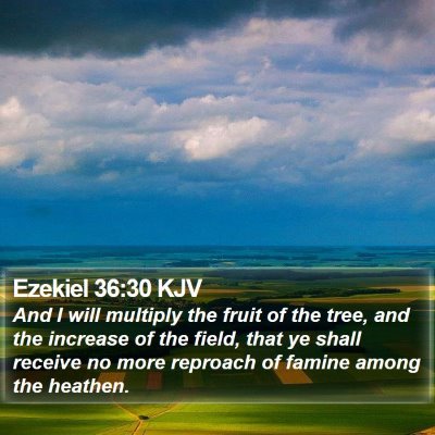 Ezekiel 36:30 KJV Bible Verse Image
