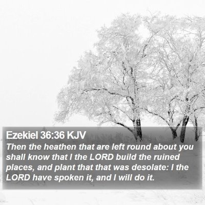 Ezekiel 36:36 KJV Bible Verse Image