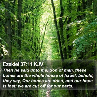 Ezekiel 37:11 KJV Bible Verse Image