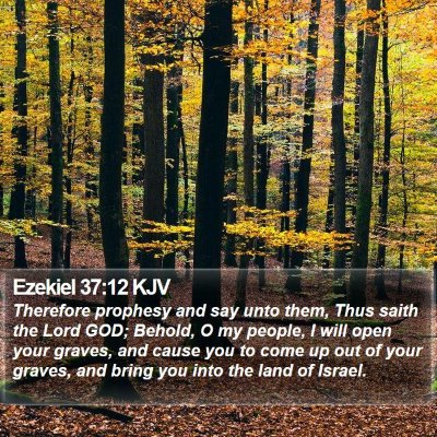Ezekiel 37:12 KJV Bible Verse Image