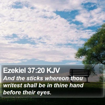 Ezekiel 37:20 KJV Bible Verse Image