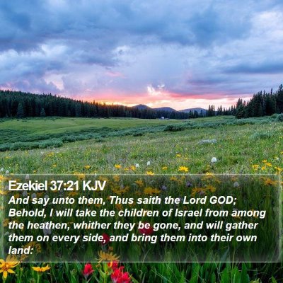 Ezekiel 37:21 KJV Bible Verse Image