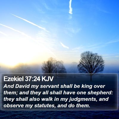 Ezekiel 37:24 KJV Bible Verse Image