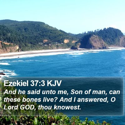 Ezekiel 37:3 KJV Bible Verse Image