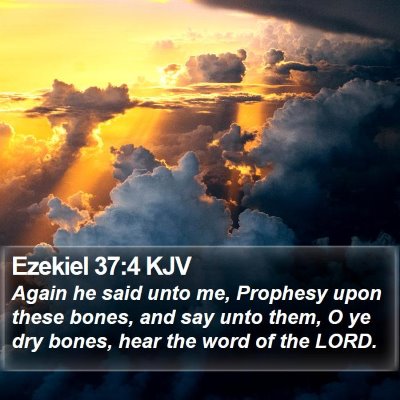 Ezekiel 37:4 KJV Bible Verse Image