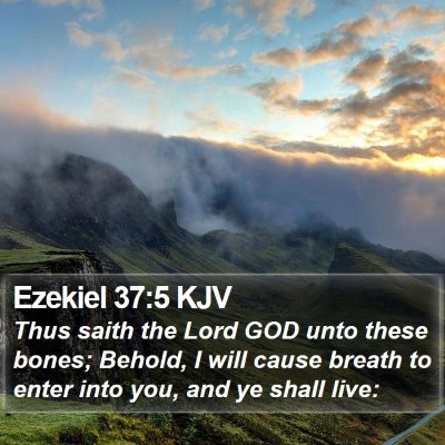 Ezekiel 37:5 KJV Bible Verse Image