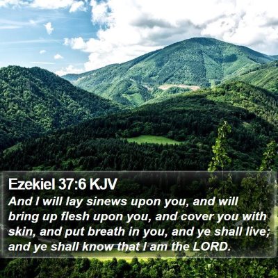 Ezekiel 37:6 KJV Bible Verse Image