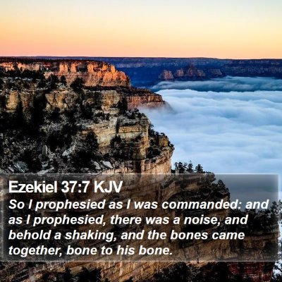 Ezekiel 37:7 KJV Bible Verse Image