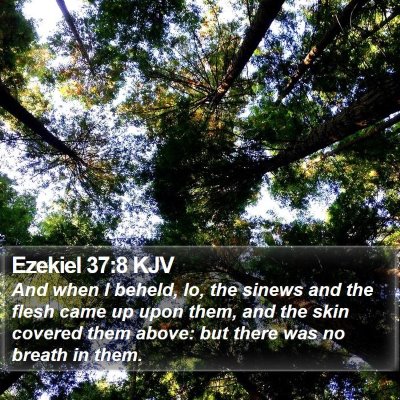 Ezekiel 37:8 KJV Bible Verse Image