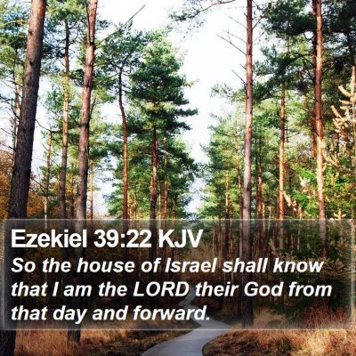 Ezekiel 39:22 KJV Bible Verse Image
