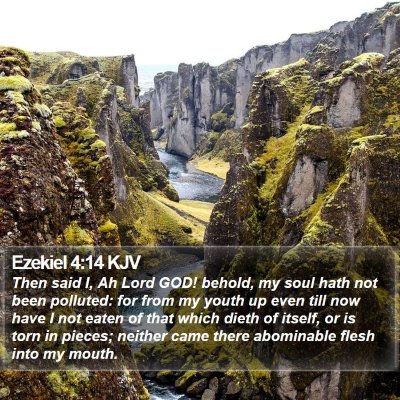 Ezekiel 4:14 KJV Bible Verse Image