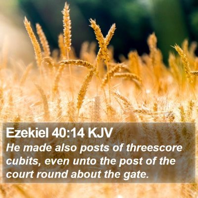 Ezekiel 40:14 KJV Bible Verse Image