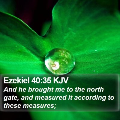 Ezekiel 40:35 KJV Bible Verse Image