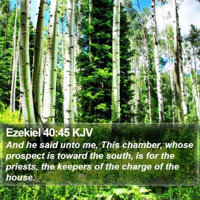 Ezekiel 40:45 KJV Bible Verse Image