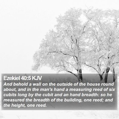 Ezekiel 40:5 KJV Bible Verse Image