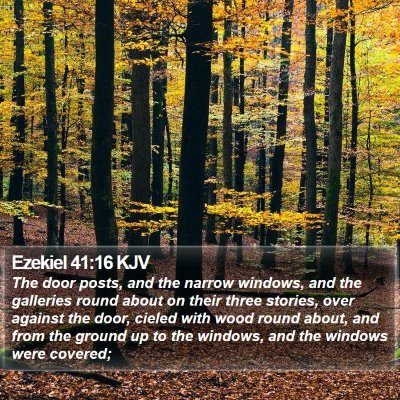 Ezekiel 41:16 KJV Bible Verse Image