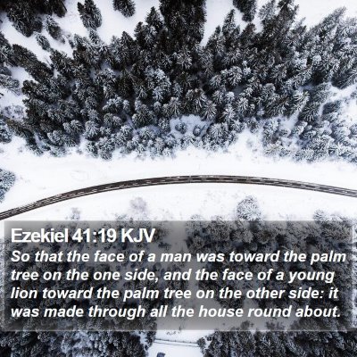 Ezekiel 41:19 KJV Bible Verse Image