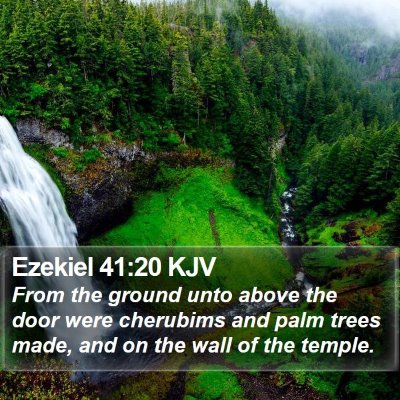 Ezekiel 41:20 KJV Bible Verse Image