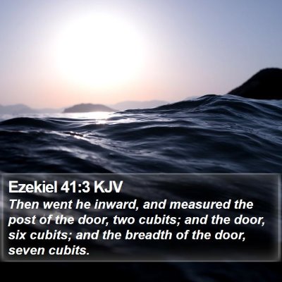 Ezekiel 41:3 KJV Bible Verse Image