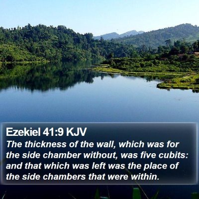 Ezekiel 41:9 KJV Bible Verse Image