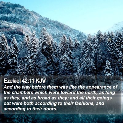 Ezekiel 42:11 KJV Bible Verse Image