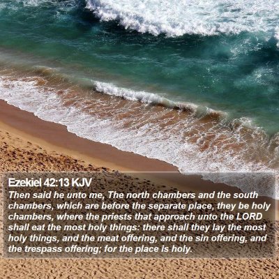 Ezekiel 42:13 KJV Bible Verse Image