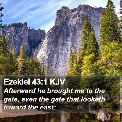 Ezekiel 43:1 KJV Bible Verse Image