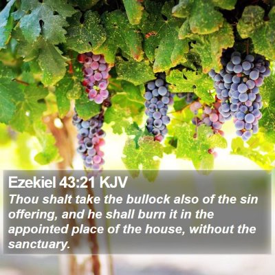 Ezekiel 43:21 KJV Bible Verse Image