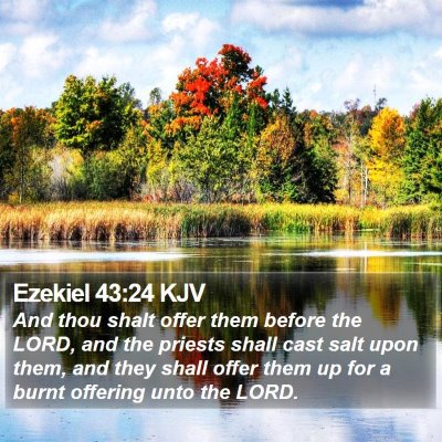 Ezekiel 43:24 KJV Bible Verse Image