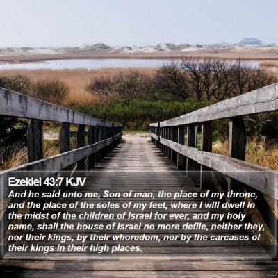 Ezekiel 43:7 KJV Bible Verse Image