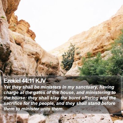 Ezekiel 44:11 KJV Bible Verse Image