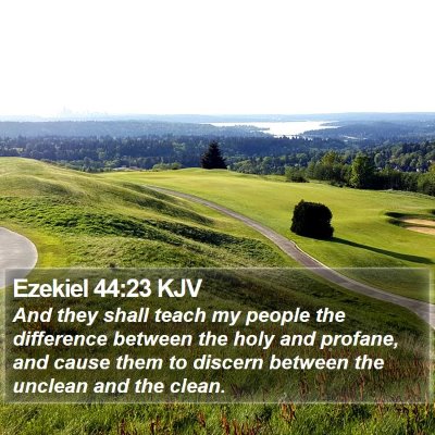 Ezekiel 44:23 KJV Bible Verse Image