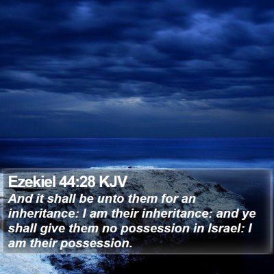 Ezekiel 44:28 KJV Bible Verse Image