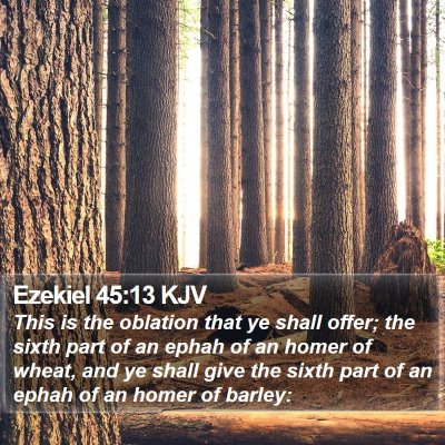 Ezekiel 45:13 KJV Bible Verse Image