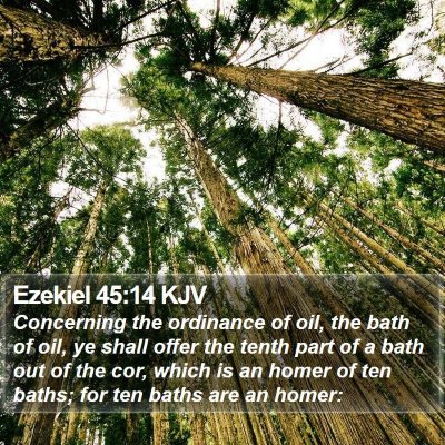 Ezekiel 45:14 KJV Bible Verse Image