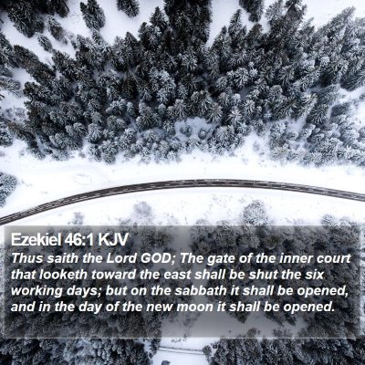 Ezekiel 46:1 KJV Bible Verse Image
