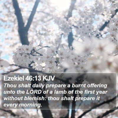 Ezekiel 46:13 KJV Bible Verse Image