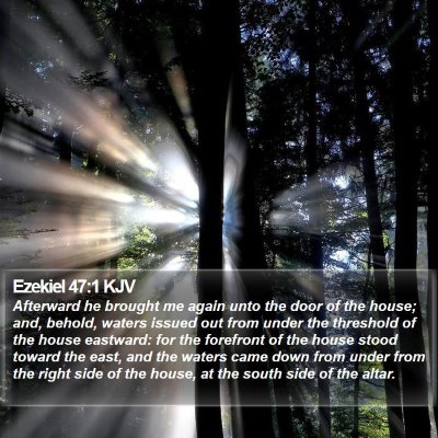 Ezekiel 47:1 KJV Bible Verse Image