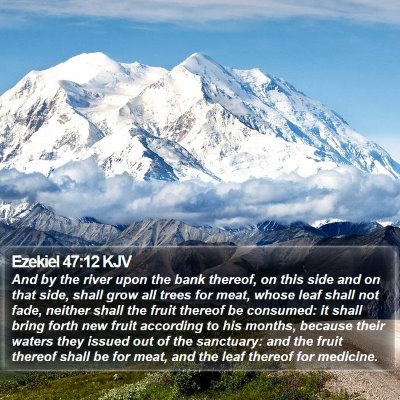 Ezekiel 47:12 KJV Bible Verse Image