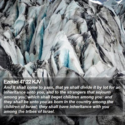 Ezekiel 47:22 KJV Bible Verse Image