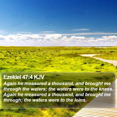 Ezekiel 47:4 KJV Bible Verse Image