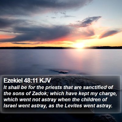 Ezekiel 48:11 KJV Bible Verse Image