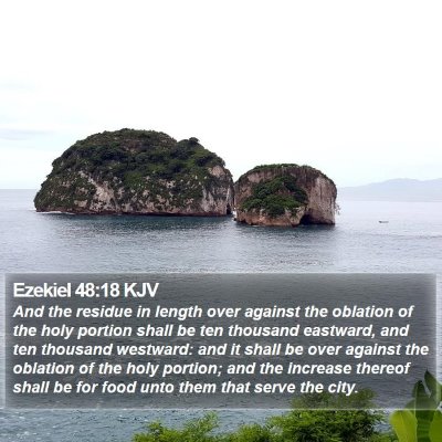 Ezekiel 48:18 KJV Bible Verse Image