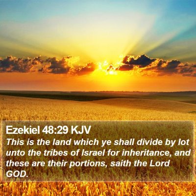 Ezekiel 48:29 KJV Bible Verse Image