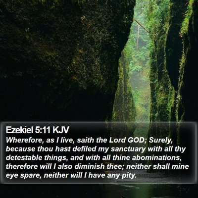 Ezekiel 5:11 KJV Bible Verse Image