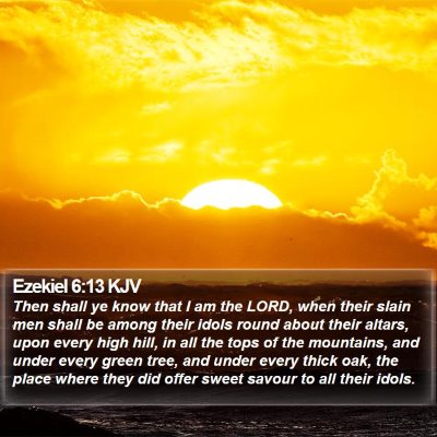 Ezekiel 6:13 KJV Bible Verse Image